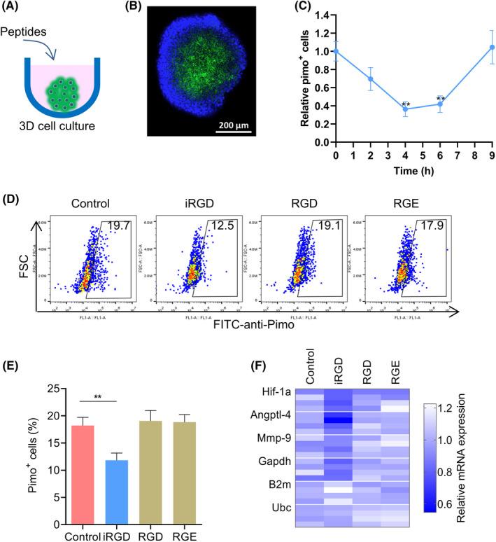 https://cdn.ncbi.nlm.nih.gov/pmc/blobs/8ddc/8990783/fa542f1274cf/CAS-113-1417-g009.jpg