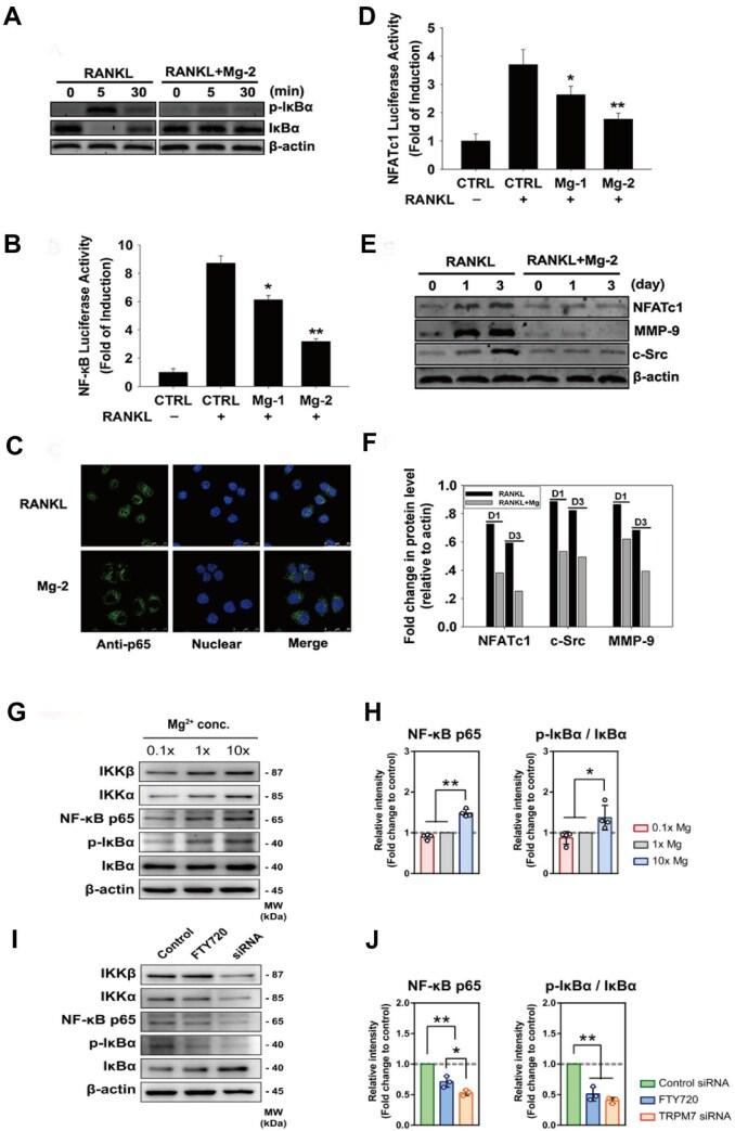 https://cdn.ncbi.nlm.nih.gov/pmc/blobs/8de1/12092085/65dd361ab8a0/rbaf026f6.jpg