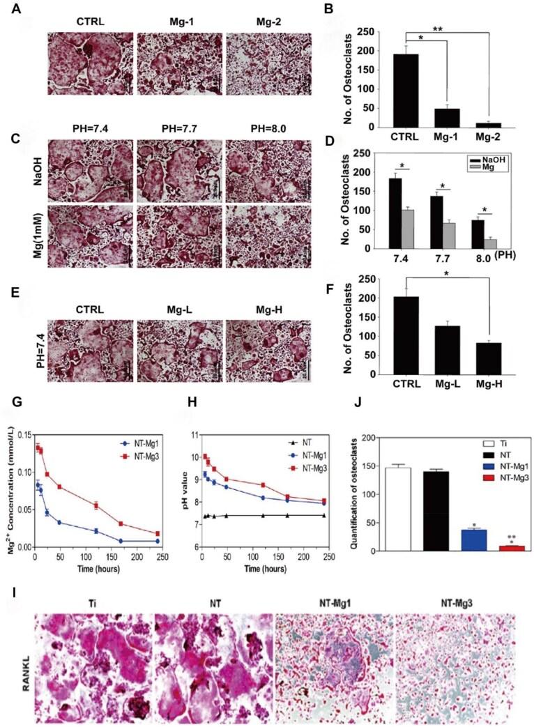 https://cdn.ncbi.nlm.nih.gov/pmc/blobs/8de1/12092085/919e9f553f7e/rbaf026f5.jpg