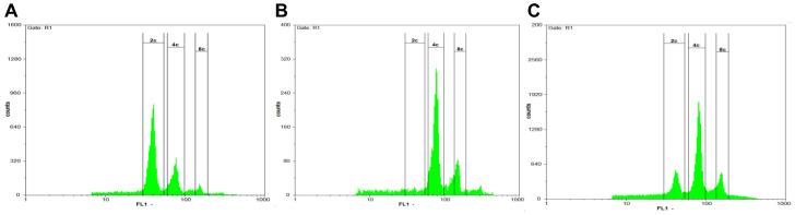 https://cdn.ncbi.nlm.nih.gov/pmc/blobs/8de2/10342833/4fa44e96ef70/ijms-24-11189-g005.jpg