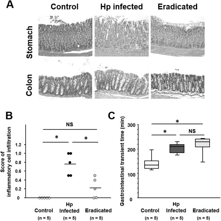 https://cdn.ncbi.nlm.nih.gov/pmc/blobs/8de2/5436696/436997eb3216/pone.0177232.g003.jpg