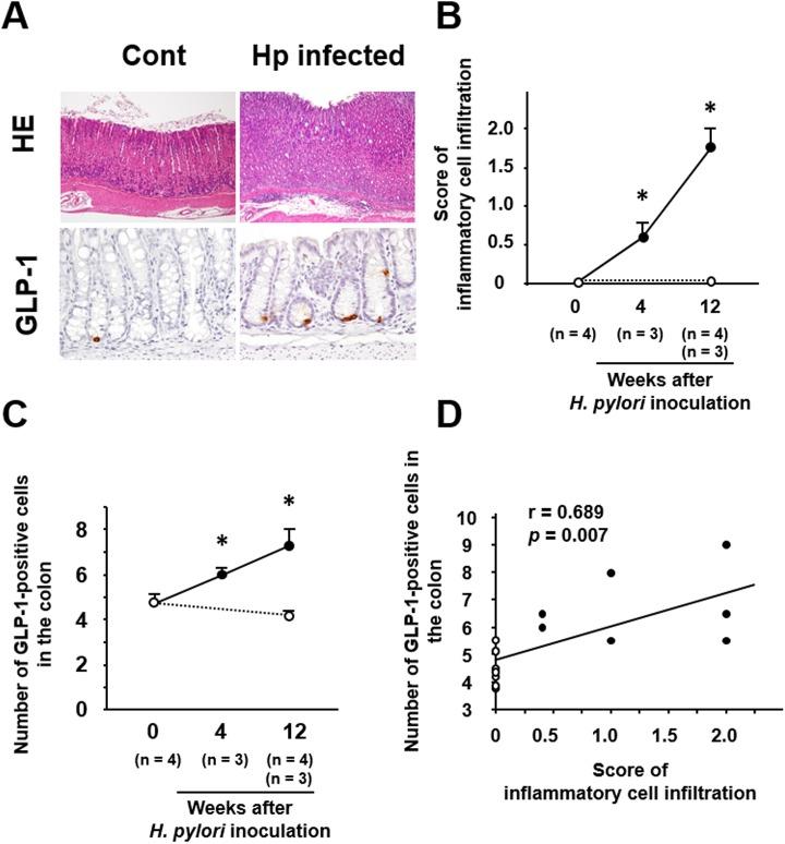 https://cdn.ncbi.nlm.nih.gov/pmc/blobs/8de2/5436696/d4635f5bd99b/pone.0177232.g001.jpg