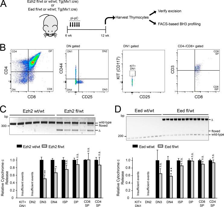 https://cdn.ncbi.nlm.nih.gov/pmc/blobs/8de2/6279404/2b7242db43fe/JEM_20180570_Fig4.jpg