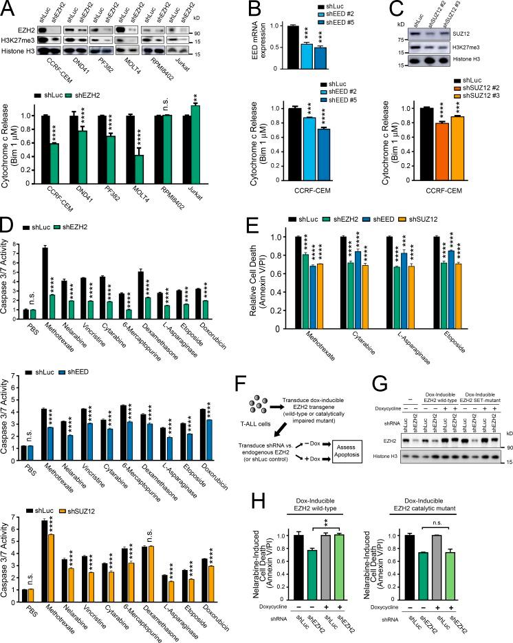 https://cdn.ncbi.nlm.nih.gov/pmc/blobs/8de2/6279404/65ec336282df/JEM_20180570_Fig2.jpg