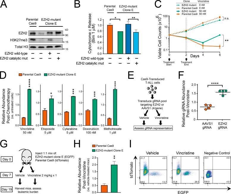 https://cdn.ncbi.nlm.nih.gov/pmc/blobs/8de2/6279404/6e2048e7bab2/JEM_20180570_Fig3.jpg