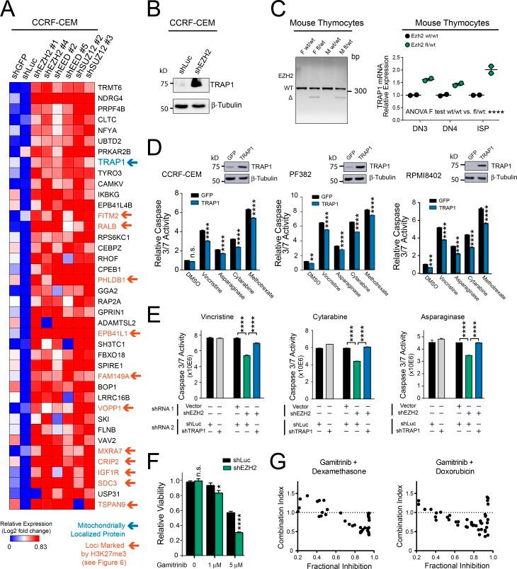 https://cdn.ncbi.nlm.nih.gov/pmc/blobs/8de2/6279404/b76422e49ba4/JEM_20180570_Fig5.jpg