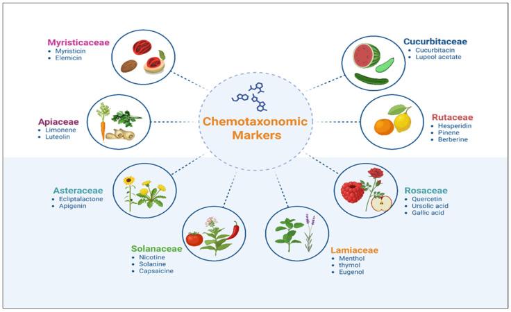 https://cdn.ncbi.nlm.nih.gov/pmc/blobs/8de3/12348784/01f4ab63035f/plants-14-02364-g003.jpg