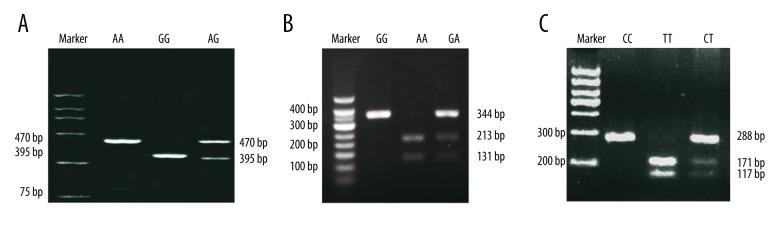 https://cdn.ncbi.nlm.nih.gov/pmc/blobs/8de3/4793684/899456fad073/medscimonit-22-780-g001.jpg