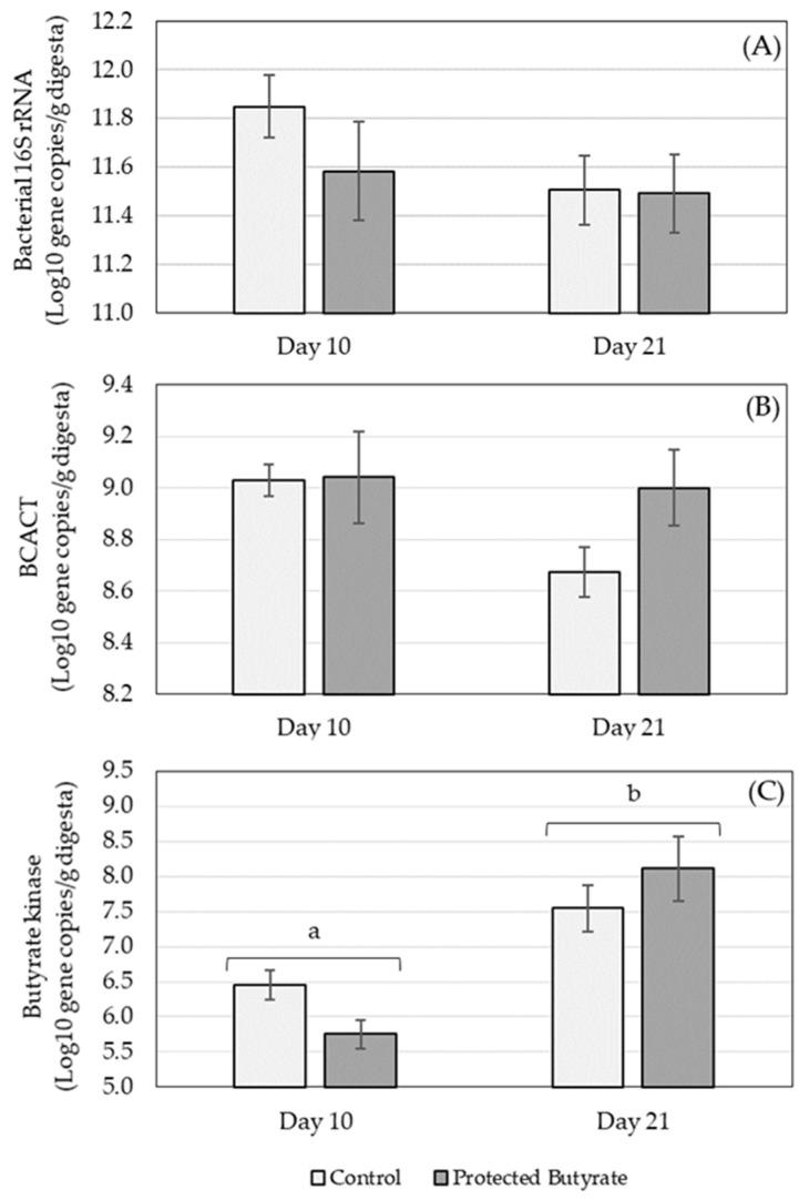 https://cdn.ncbi.nlm.nih.gov/pmc/blobs/8de3/9367590/eedbb70f4fd4/animals-12-01940-g001.jpg