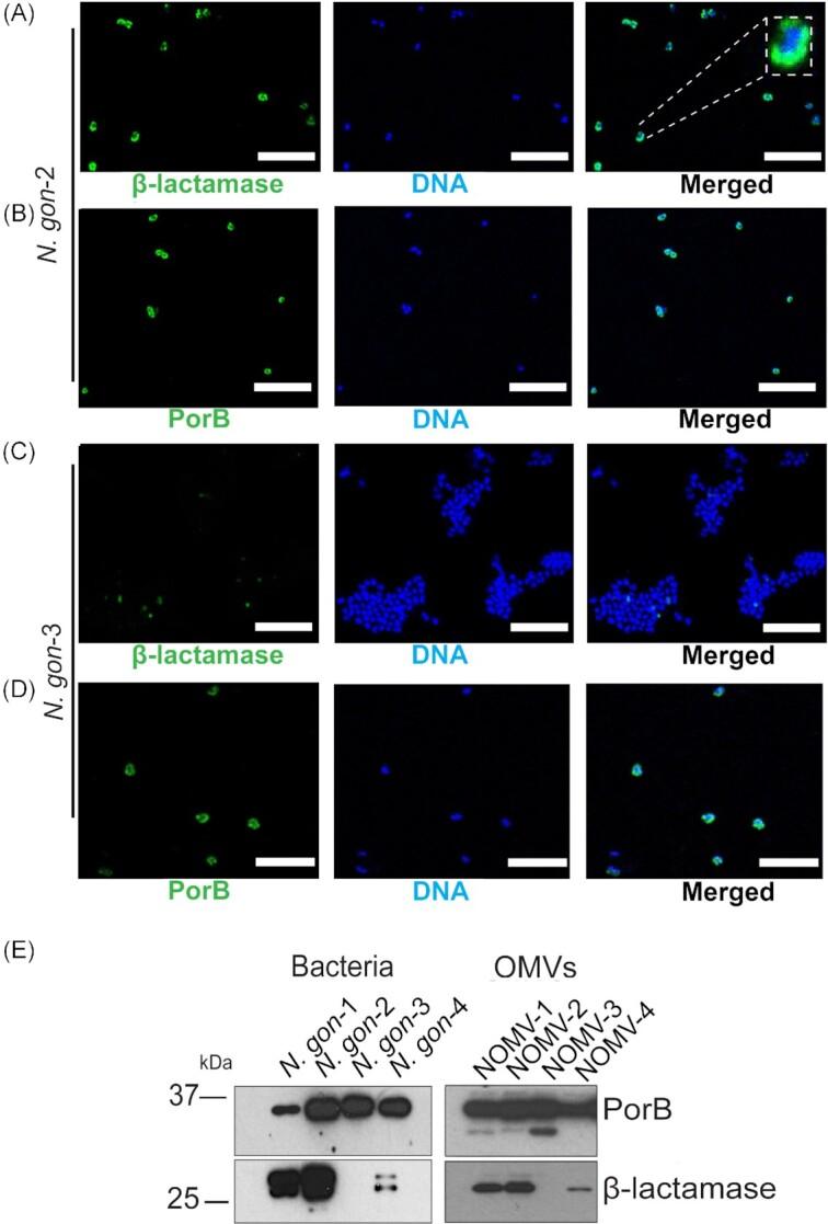https://cdn.ncbi.nlm.nih.gov/pmc/blobs/8de4/10117772/446a4e376794/uqac013fig1.jpg