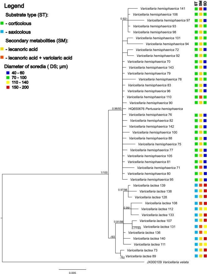 https://cdn.ncbi.nlm.nih.gov/pmc/blobs/8de4/11464505/a9289deac330/41598_2024_74937_Fig1_HTML.jpg