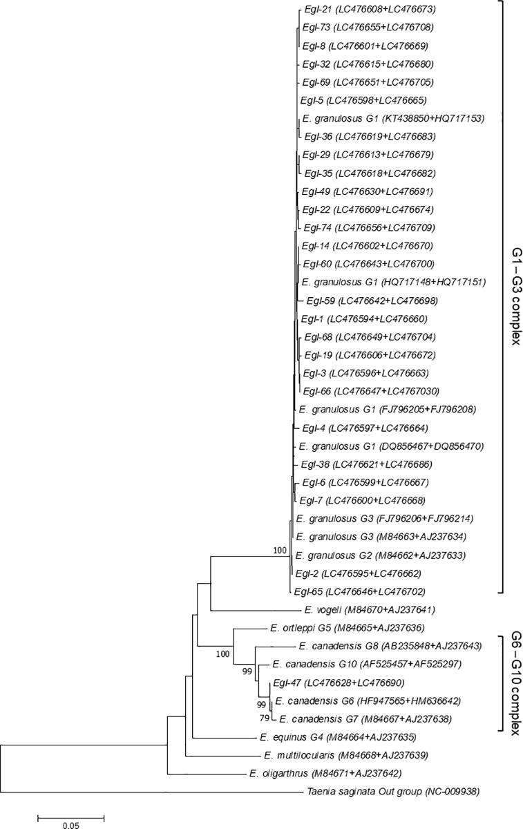 https://cdn.ncbi.nlm.nih.gov/pmc/blobs/8de6/6818807/35d2836eaa70/pone.0224501.g004.jpg