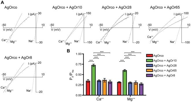 https://cdn.ncbi.nlm.nih.gov/pmc/blobs/8de7/3235152/9f47f836b1f2/pone.0028774.g003.jpg