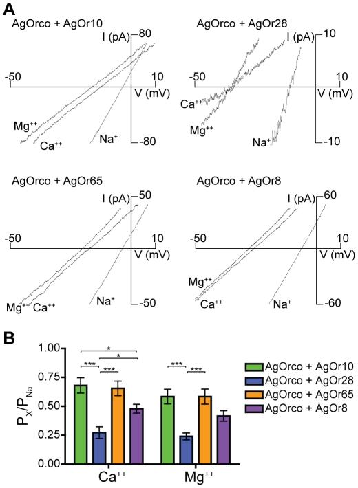 https://cdn.ncbi.nlm.nih.gov/pmc/blobs/8de7/3235152/bd843da480fb/pone.0028774.g004.jpg