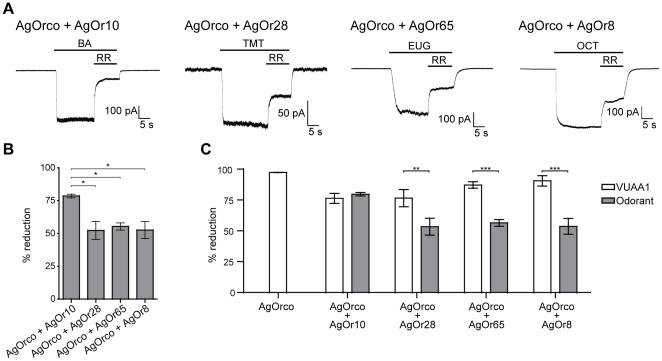 https://cdn.ncbi.nlm.nih.gov/pmc/blobs/8de7/3235152/e9e827a2350e/pone.0028774.g006.jpg