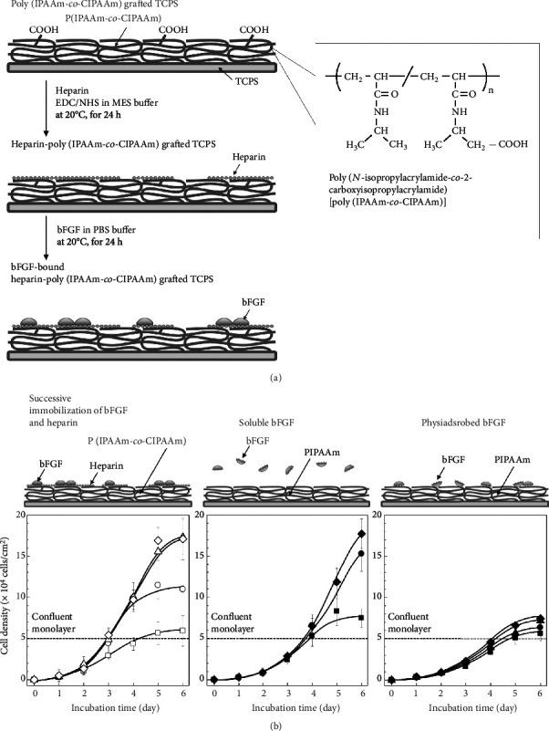 https://cdn.ncbi.nlm.nih.gov/pmc/blobs/8de7/9494729/e7c41139a0f3/CBSYSTEMS2021-5738457.004.jpg
