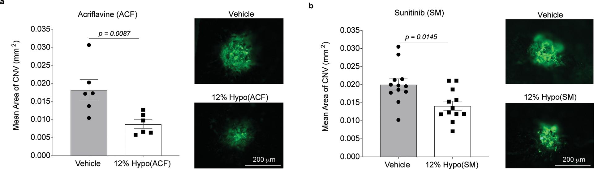 https://cdn.ncbi.nlm.nih.gov/pmc/blobs/8de9/7655548/7074be0c52ae/nihms-1616906-f0004.jpg
