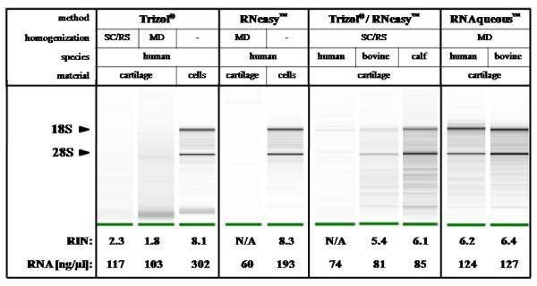 https://cdn.ncbi.nlm.nih.gov/pmc/blobs/8deb/2841606/73be3c87b831/1756-0500-3-7-1.jpg