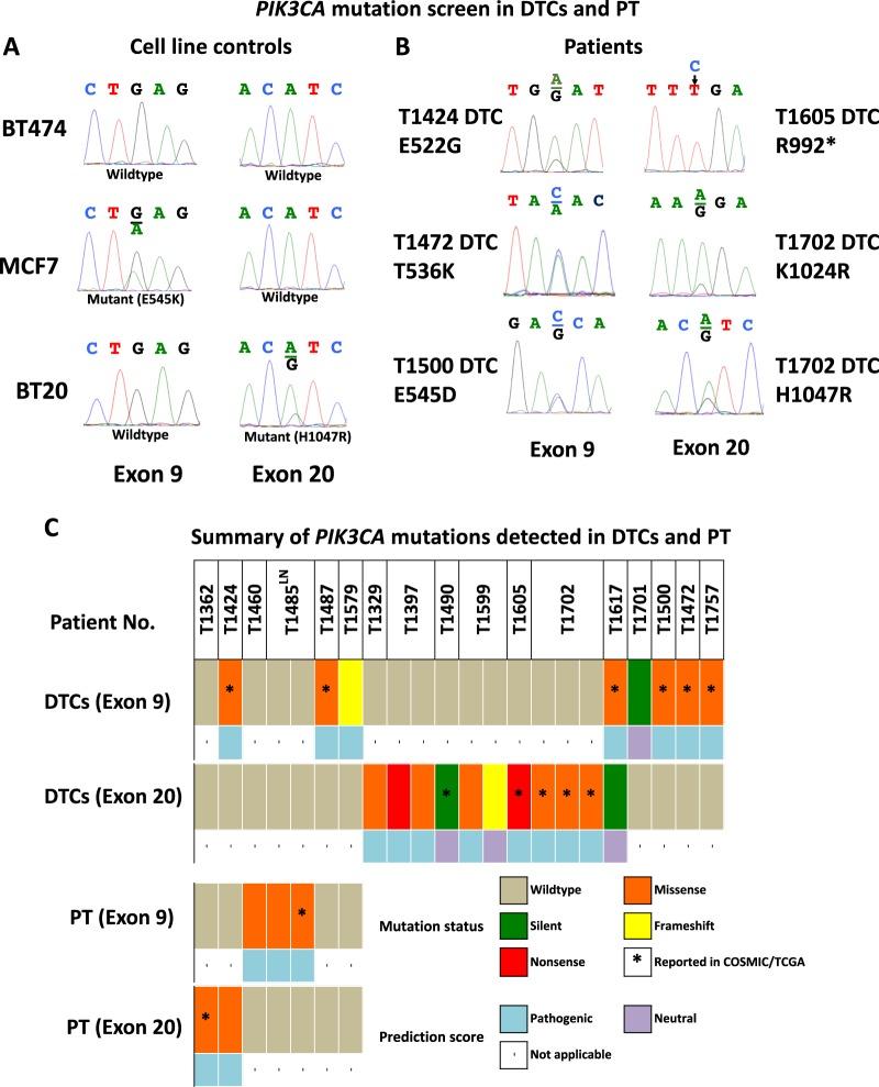 https://cdn.ncbi.nlm.nih.gov/pmc/blobs/8deb/6125436/3544f7069507/41523_2018_83_Fig3_HTML.jpg