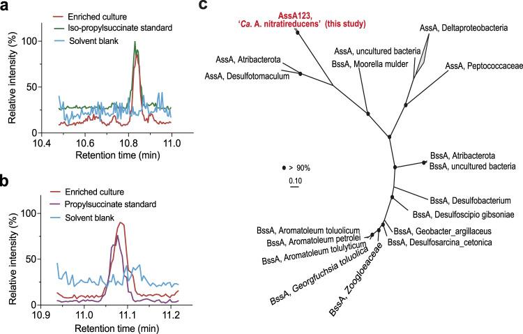 https://cdn.ncbi.nlm.nih.gov/pmc/blobs/8deb/9576796/06a97b36a4a1/41467_2022_33872_Fig4_HTML.jpg