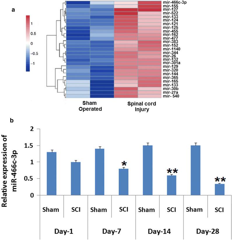 https://cdn.ncbi.nlm.nih.gov/pmc/blobs/8dee/7295889/ca93d9b91ac3/13568_2020_1033_Fig1_HTML.jpg