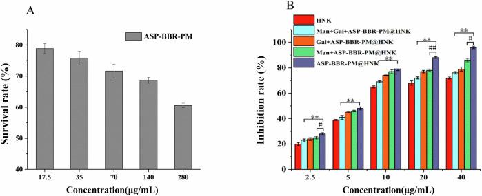 https://cdn.ncbi.nlm.nih.gov/pmc/blobs/8df0/11928538/28fb5faa5872/41698_2025_869_Fig5_HTML.jpg