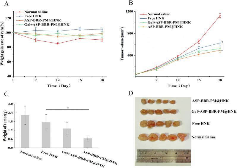 https://cdn.ncbi.nlm.nih.gov/pmc/blobs/8df0/11928538/2bd431d630d4/41698_2025_869_Fig7_HTML.jpg