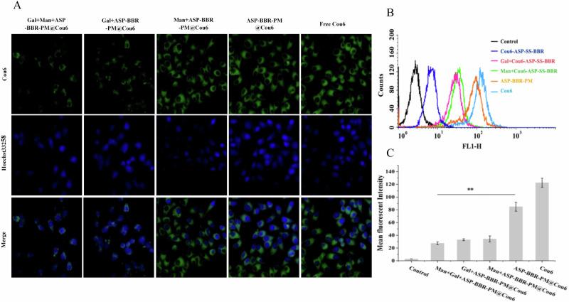 https://cdn.ncbi.nlm.nih.gov/pmc/blobs/8df0/11928538/e99fa250b3d5/41698_2025_869_Fig3_HTML.jpg