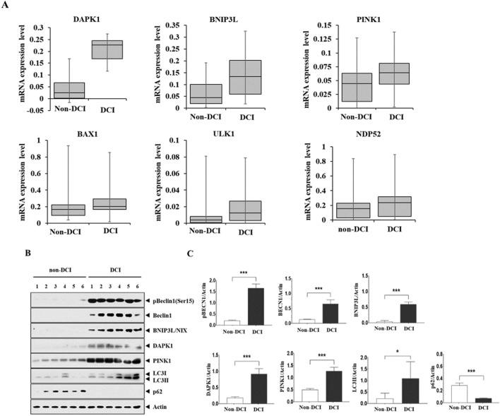 https://cdn.ncbi.nlm.nih.gov/pmc/blobs/8df0/8363614/06e5923e85fb/41598_2021_96092_Fig2_HTML.jpg