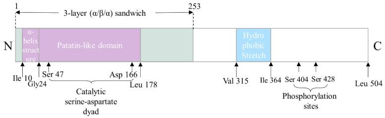 https://cdn.ncbi.nlm.nih.gov/pmc/blobs/8df1/8773762/080210e58554/biomolecules-12-00057-g001.jpg