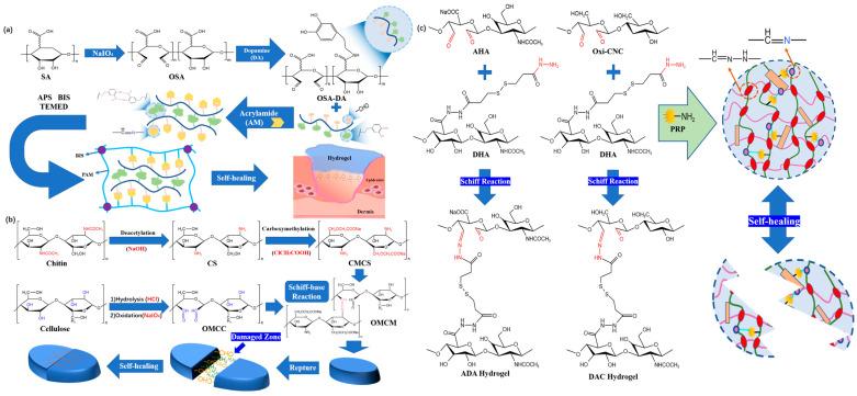 https://cdn.ncbi.nlm.nih.gov/pmc/blobs/8df2/10180742/1b4cb15671a2/polymers-15-02000-g004.jpg