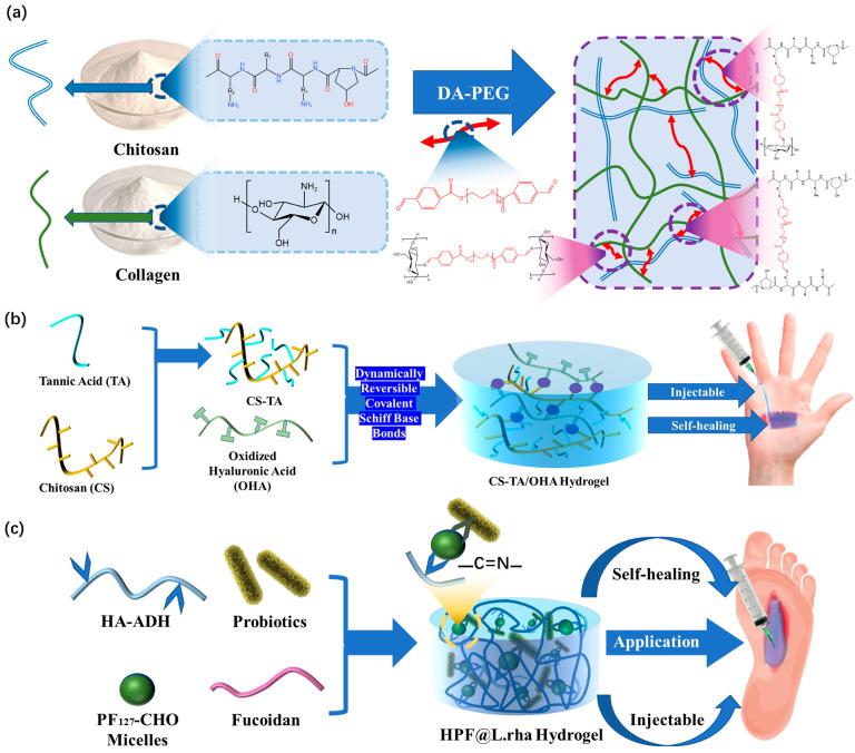 https://cdn.ncbi.nlm.nih.gov/pmc/blobs/8df2/10180742/20dfa7b957ac/polymers-15-02000-g005.jpg