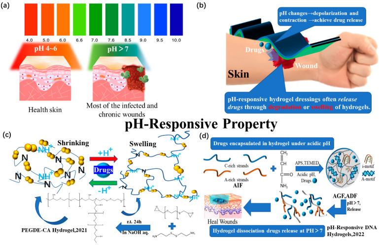 https://cdn.ncbi.nlm.nih.gov/pmc/blobs/8df2/10180742/276edcb0c25a/polymers-15-02000-g012.jpg