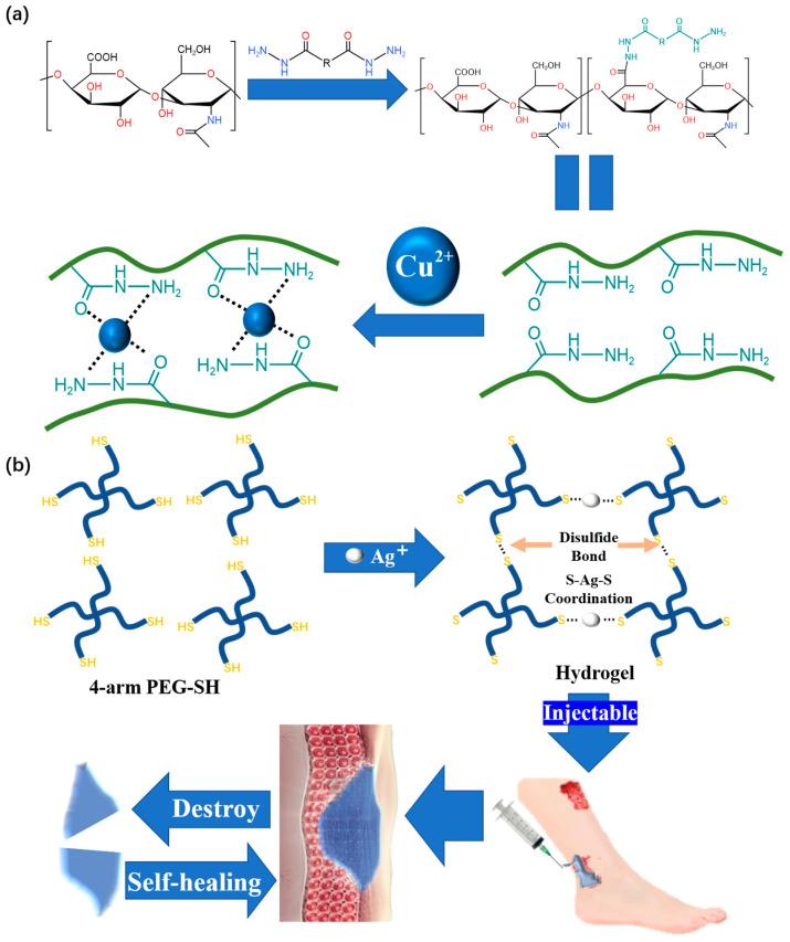https://cdn.ncbi.nlm.nih.gov/pmc/blobs/8df2/10180742/7d1bf2b98db0/polymers-15-02000-g008.jpg