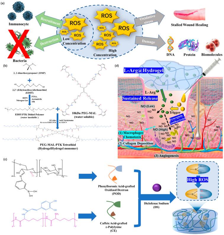 https://cdn.ncbi.nlm.nih.gov/pmc/blobs/8df2/10180742/d03c4620a81c/polymers-15-02000-g013.jpg