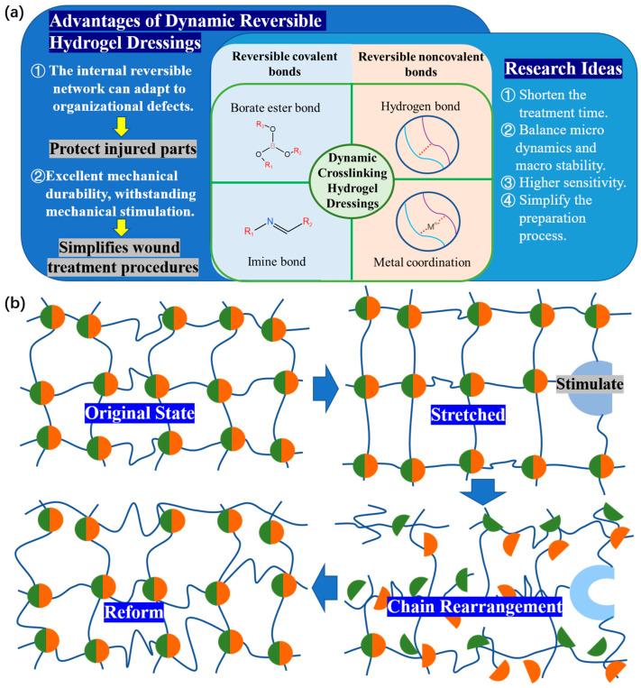 https://cdn.ncbi.nlm.nih.gov/pmc/blobs/8df2/10180742/d806b1d7434a/polymers-15-02000-g003.jpg