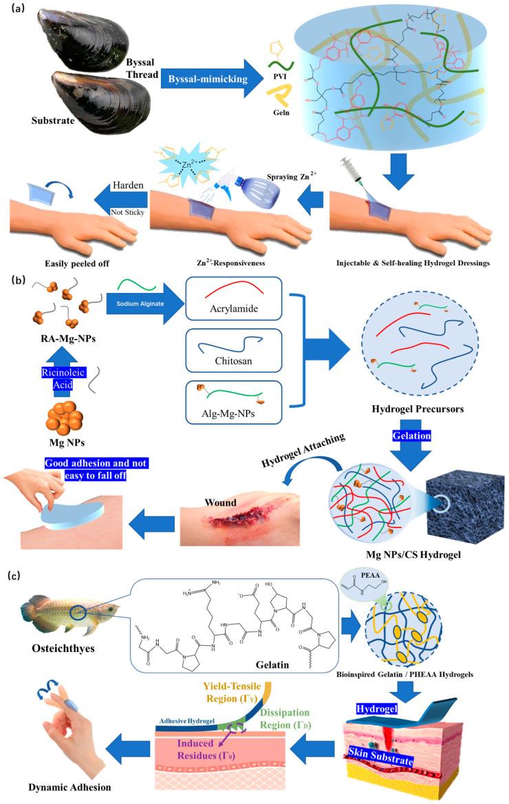 https://cdn.ncbi.nlm.nih.gov/pmc/blobs/8df2/10180742/df8fb2472d0f/polymers-15-02000-g022.jpg