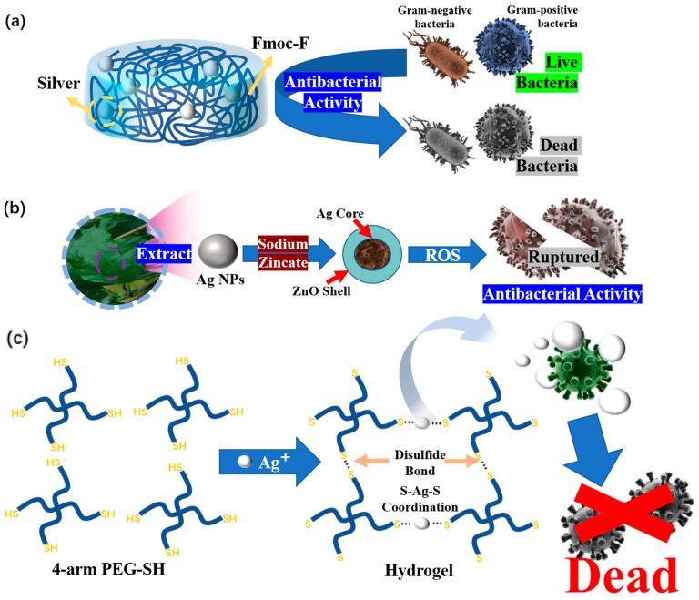 https://cdn.ncbi.nlm.nih.gov/pmc/blobs/8df2/10180742/e157216c2bdc/polymers-15-02000-g019.jpg