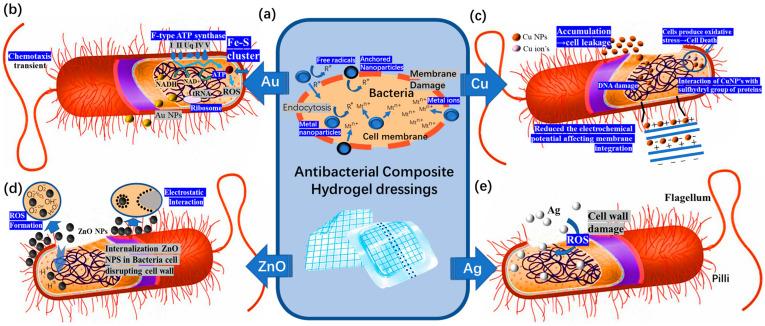 https://cdn.ncbi.nlm.nih.gov/pmc/blobs/8df2/10180742/f663fff77571/polymers-15-02000-g017.jpg