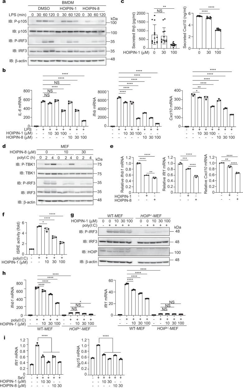 https://cdn.ncbi.nlm.nih.gov/pmc/blobs/8df4/7125101/11c2ba6800af/42003_2020_882_Fig2_HTML.jpg