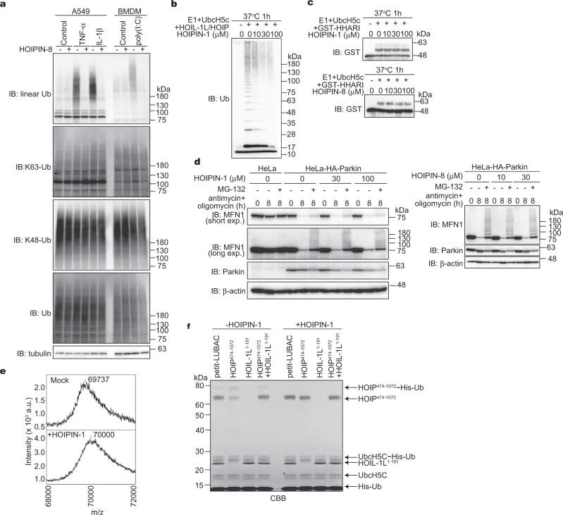 https://cdn.ncbi.nlm.nih.gov/pmc/blobs/8df4/7125101/15d03a2cb042/42003_2020_882_Fig3_HTML.jpg