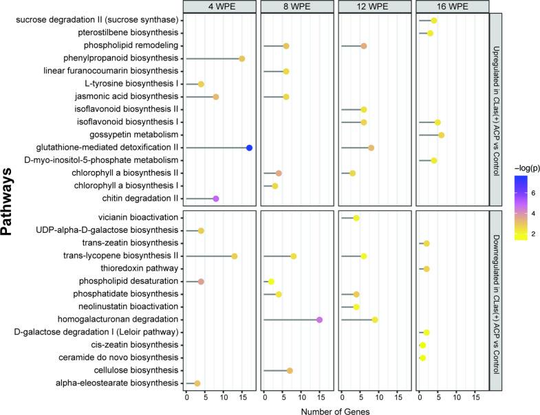 https://cdn.ncbi.nlm.nih.gov/pmc/blobs/8df5/11301674/478f06b672ab/pr3c00485_0003.jpg