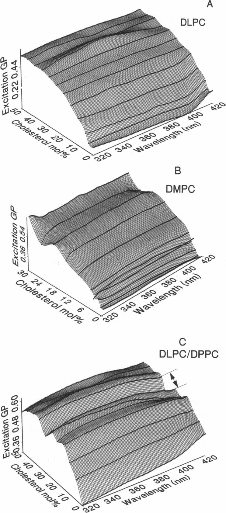https://cdn.ncbi.nlm.nih.gov/pmc/blobs/8df6/1282093/3d17ec38992d/biophysj00061-0263-a.jpg