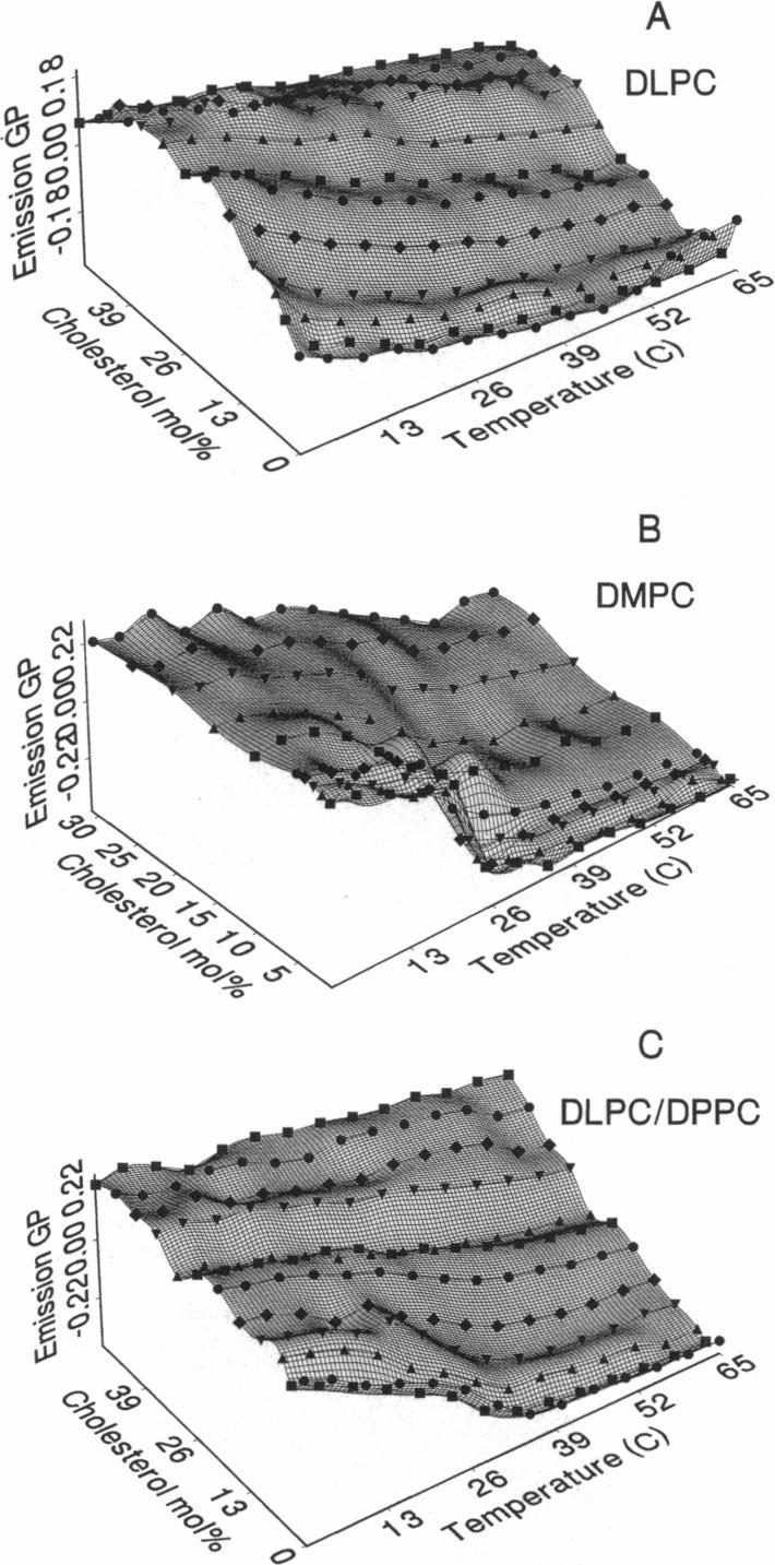 https://cdn.ncbi.nlm.nih.gov/pmc/blobs/8df6/1282093/b5c04c04874e/biophysj00061-0265-b.jpg