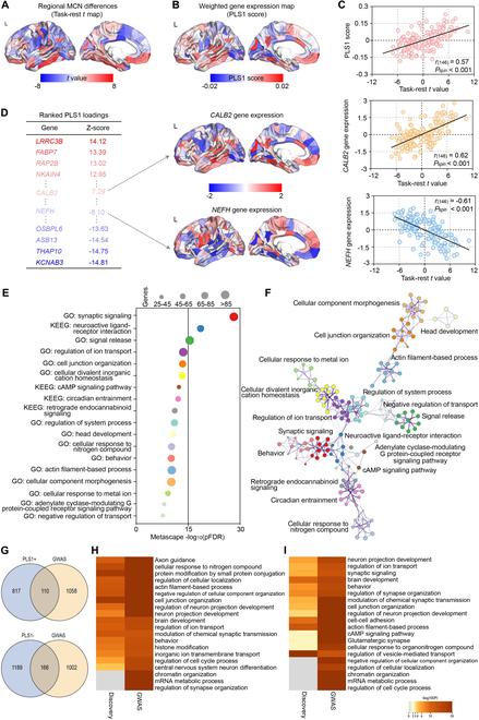 https://cdn.ncbi.nlm.nih.gov/pmc/blobs/8dfa/10249784/90e2720b0b08/research.0171.fig.005.jpg