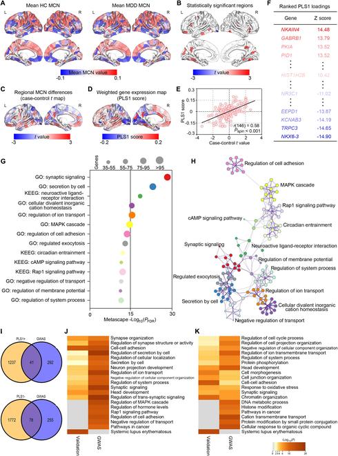 https://cdn.ncbi.nlm.nih.gov/pmc/blobs/8dfa/10249784/c26b4c63e1ca/research.0171.fig.007.jpg