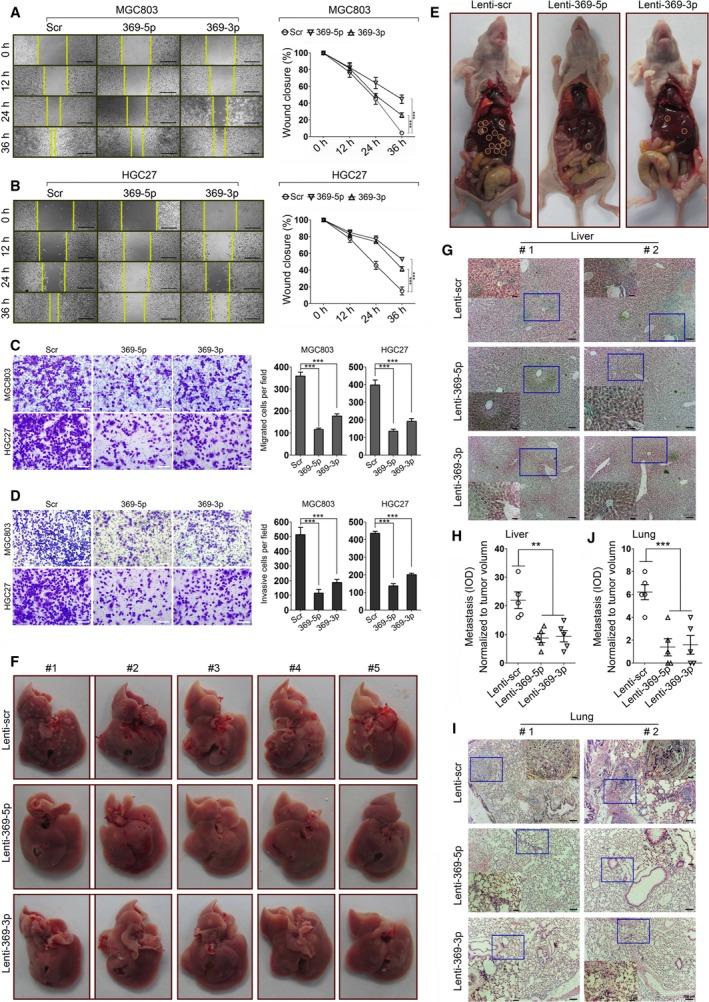 https://cdn.ncbi.nlm.nih.gov/pmc/blobs/8dfb/6599845/c777ab2c86a7/MOL2-13-1605-g004.jpg