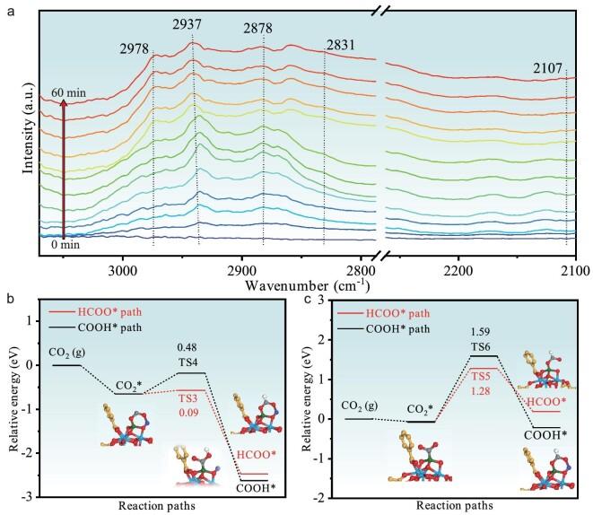 https://cdn.ncbi.nlm.nih.gov/pmc/blobs/8dfc/11073544/0057b062097b/nwae114fig6.jpg