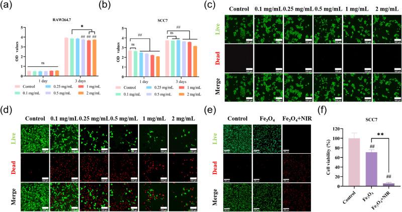 https://cdn.ncbi.nlm.nih.gov/pmc/blobs/8dfc/11268759/2ac9eb92faa9/IJN-19-7185-g0002.jpg