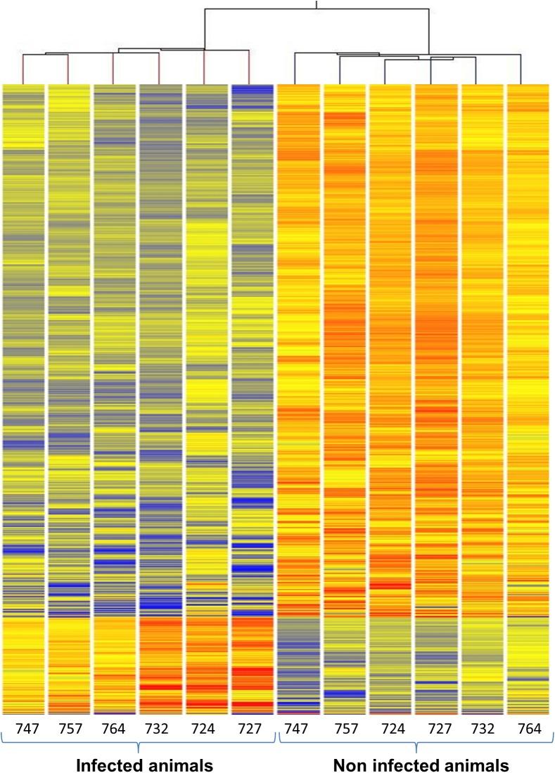 https://cdn.ncbi.nlm.nih.gov/pmc/blobs/8dfc/4592004/1fb68cf72479/pone.0139678.g002.jpg